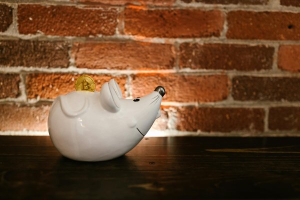 Assurance habitation étudiant : protégez votre logement facilement